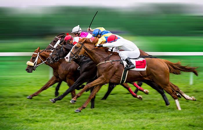 Los caballos y sus carreras representaban la emoción de las apuestas. Foto: Shutterstock